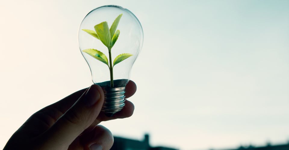 Énergie renouvelable résidentielle